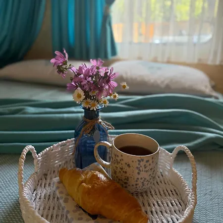 каравана морски блясък Черноморец